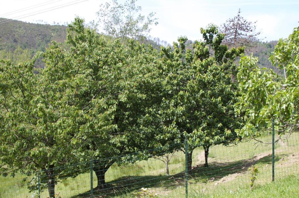 Affittacamere Graziella Vernazza Ngoại thất bức ảnh